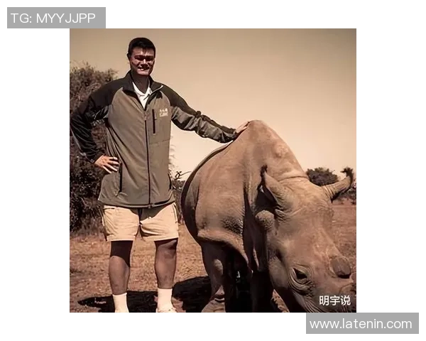 犀牛币姚明引领数字货币新潮流助力体育产业发展与创新