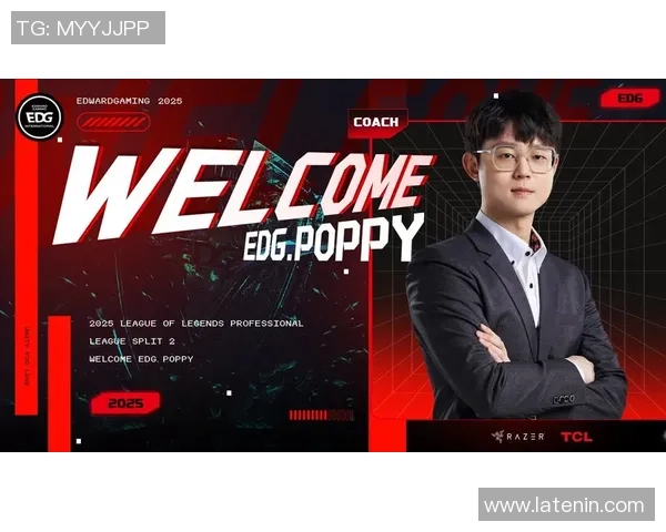 英雄联盟盛宴:深入解析EDG战队背后的强大实力与团队精神